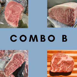 Combo B