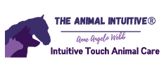 Intuitive Touch Animal Care